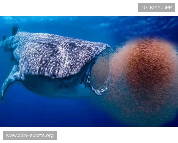 从蓝鲸的食谱到辣椒的辣度探索自然饮食的极限奥秘与感官体验之谜